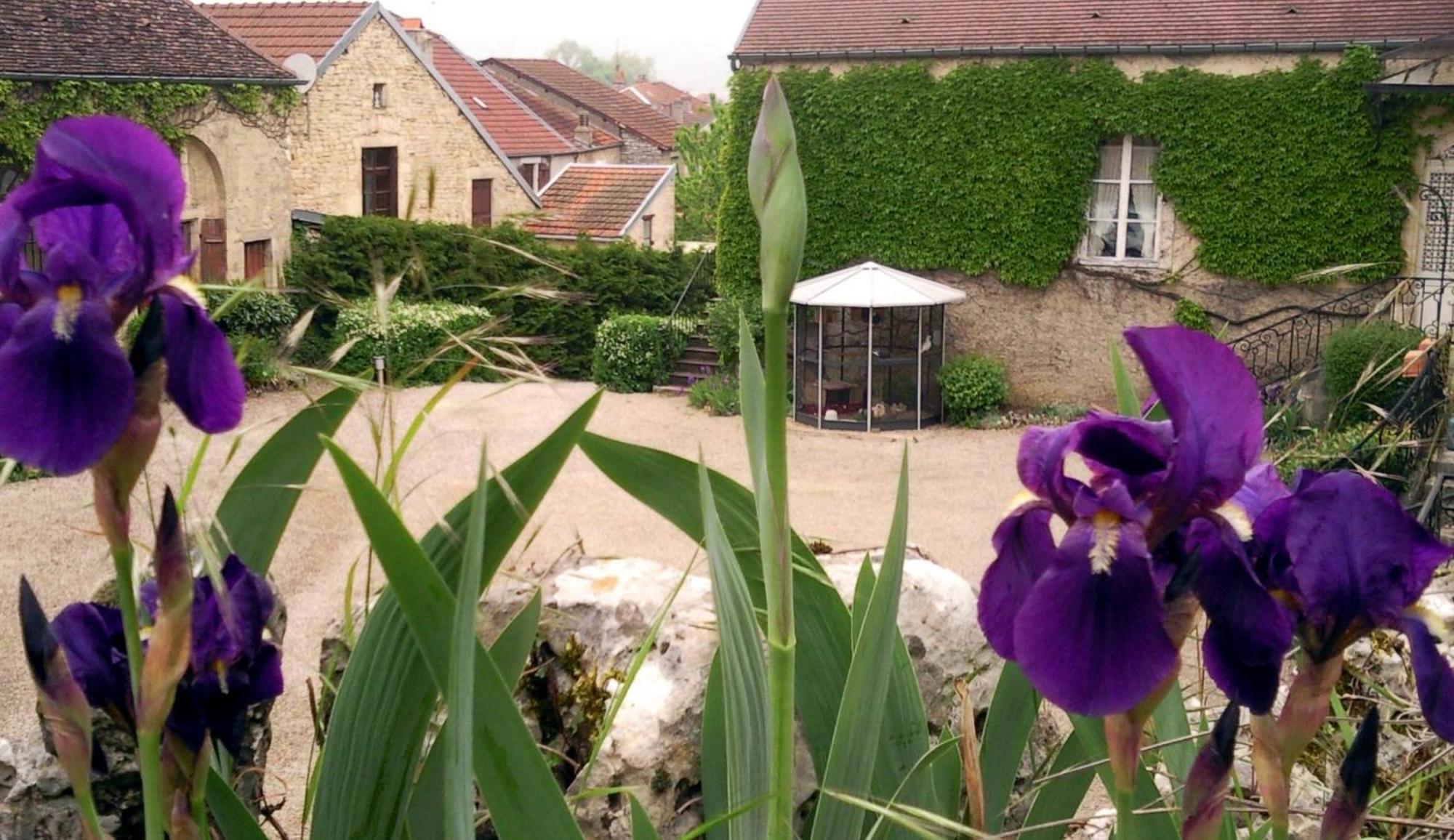 Le Chateau De Prauthoy Exterior photo